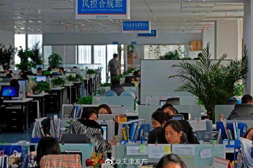 中企云鏈 以創新金融科技服務安心扎根，以信息技術咨詢服務舒心發展