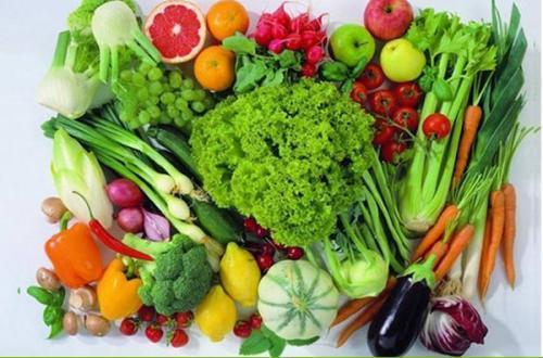 守護(hù)餐桌，從田間到食堂——一家蔬菜運(yùn)輸公司的新鮮與安全之道